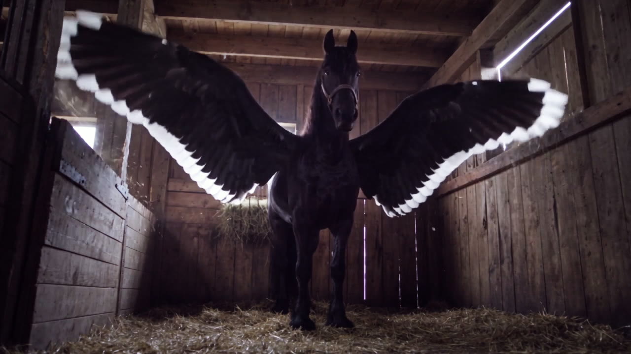 The stallion rearing in the stall as two great wings unfold